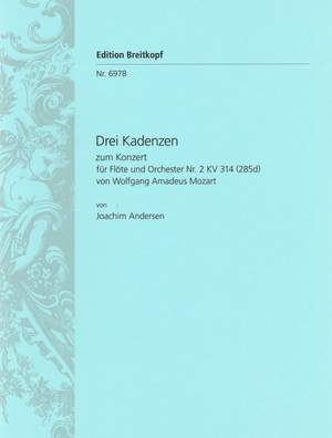 Andersen: 3 Kadenzen zu Mozarts KV 314