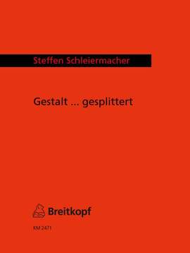 Schleiermacher: Gestalt ... gesplittert