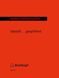 Schleiermacher: Gestalt ... gesplittert