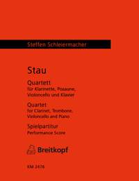 Schleiermacher: Stau
