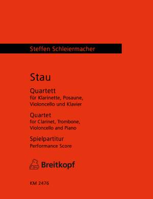 Schleiermacher: Stau