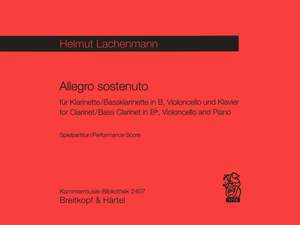 Lachenmann: Allegro sostenuto