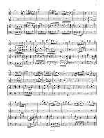 Vivaldi: Konzert in g RV 103 Product Image