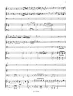 Höffner, A: Sonata a 8 in C Product Image