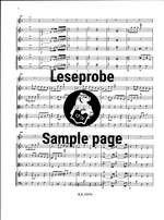 Quantz: Flötenkonzert in d Product Image