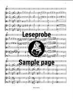 Quantz: Flötenkonzert in d Product Image