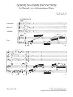 Czerny: Grande Serenade Conc. op. 126 Product Image
