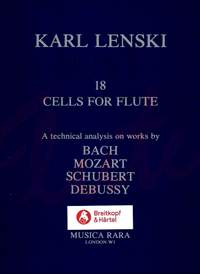 Lenski: 18 Cells, Technical Analysis