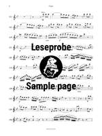 Devienne: Trio in B op. 61 Nr. 5 Product Image