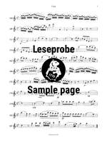 Devienne: Trio in B op. 61 Nr. 5 Product Image