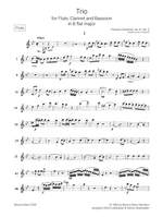 Devienne: Trio in B op. 61 Nr. 5 Product Image