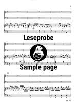 Stamitz: Concerto in D Product Image