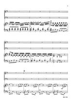 Stamitz: Concerto in D Product Image