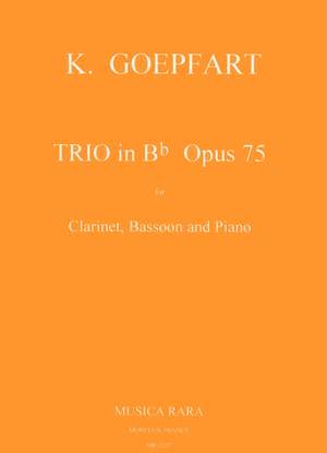 Goepfart: Trio in g op. 75