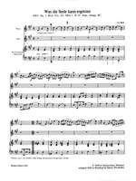 Bach, JS: Sämtliche Arien Bd. 4 A,Fl,Bc Product Image