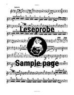 Mozart: Klavierkonzert 10 Es-dur KV365 Product Image