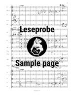 Berg, A: Konzert für Violine und Orchester Product Image