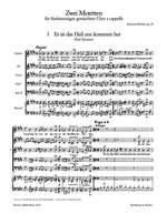 Brahms: 2 Motetten op. 29 Product Image