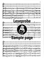 Stamitz: Flötenkonzert D-dur Product Image