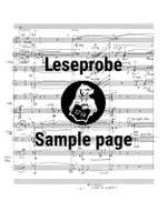 Rihm: Segmente op. 12 Product Image