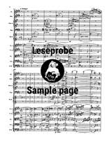 Wagner: Siegfried-Idyll Product Image