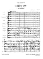 Wagner: Siegfried-Idyll Product Image