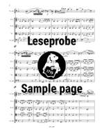 Schumann: Violoncellokonzert a-moll op.129 Product Image