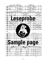 Schumann: Violoncellokonzert op. 129 Product Image