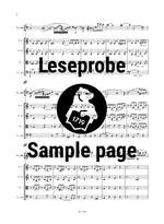 Schumann: Violoncellokonzert op. 129 Product Image