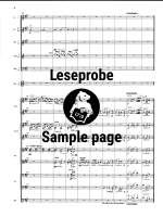 Reger: Mozart-Variationen op. 132 Product Image