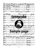 Bach, JS: Violinkonzert E-dur BWV 1042 Product Image