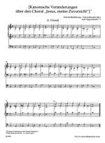 Middelschulte, W: Organ Works, Vol.5 (complete) (Urtext) Original Compositions Product Image