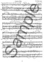Poul Ruders: Double Entry Product Image