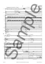 Hans Abrahamsen: Double Concerto Product Image