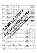 Silbar/Henley: Wind Beneath My Wings (Arr.Arch) Product Image