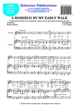 Copley: Rosebud By My Early Walk