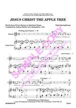 Springthorpe: Jesus Christ The Apple Tree Product Image