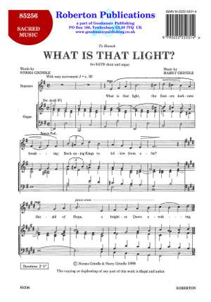 Grindle: What Is That Light?