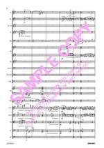 Puccini G: Nessun Dorma Product Image