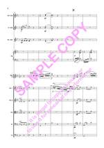 Field: Concertino For Flute (Arr.Lane) Pk Product Image