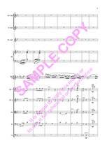 Field: Concertino For Flute (Arr.Lane) Pk Product Image
