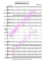 Frewer G: Beethoven Rules Ok Product Image