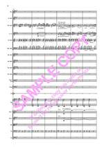 Borodin: Polovtsian Dances Product Image