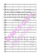 Borodin: Polovtsian Dances Product Image