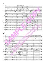 Schwarz I-P: Celtic Concerto Product Image