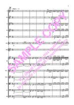 Schwarz I-P: Celtic Concerto Product Image