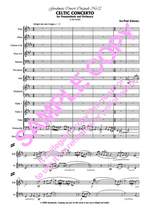 Schwarz I-P: Celtic Concerto Product Image