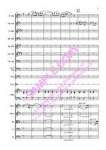 Morricone: Gabriel's Oboe Arr.Ling Product Image