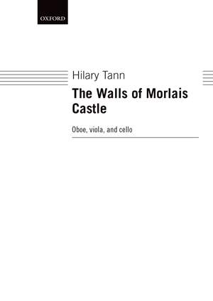 Tann H: Walls Of Morlais Castle
