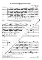 Bach J.S: Er rufet seinen Schafen BWV175 (Fsc) Product Image